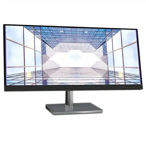 מסך מחשב - L29w-30(F212902E0)29inch Monitor-HDMI 1 מסך מחשב - L29w-30(F212902E0)29inch Monitor-HDMI